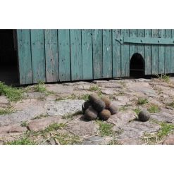 Helga Kreft Paardenuitwerpselen Speelset -Kinder Avontuur Verkoop helga kreft paardenuitwerpselen speelset a292625 3