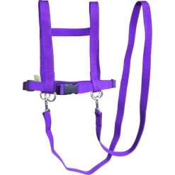 Helga Kreft Zügelmatz Paardenspeellijn, Paars -Kinder Avontuur Verkoop helga kreft zuegelmatz paardenspeellijn paars a334333 2