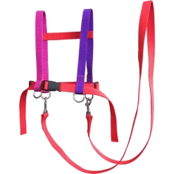 Helga Kreft Zügelmatz® Paardenspeellijn, Rood Gekleurd -Kinder Avontuur Verkoop helga kreft zuegelmatz paardenspeellijn rood gekleurd a334335 2